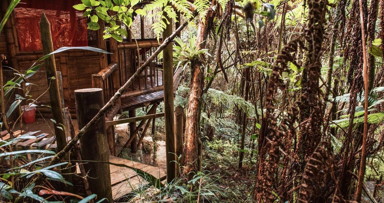 Hotel Guatape Adrianas Bambu Экстерьер фото