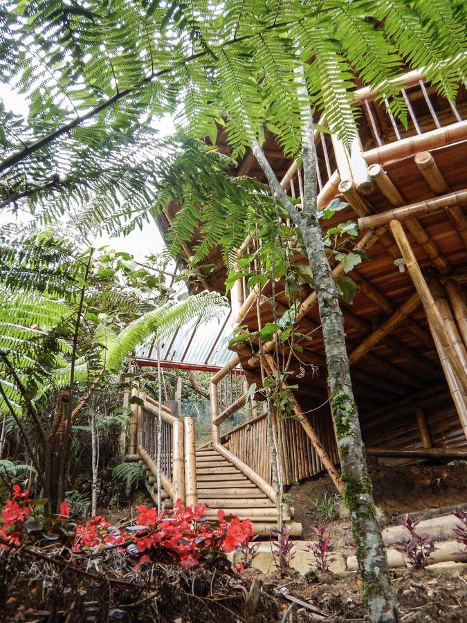 Hotel Guatape Adrianas Bambu Экстерьер фото
